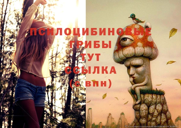 ECSTASY Куйбышев