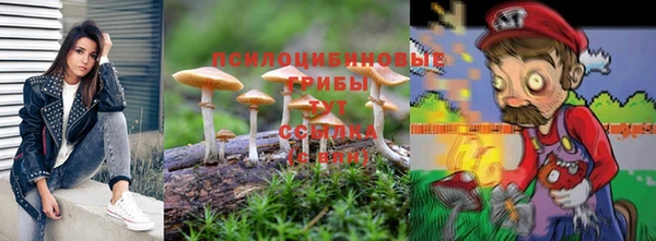 наркотики Кукмор